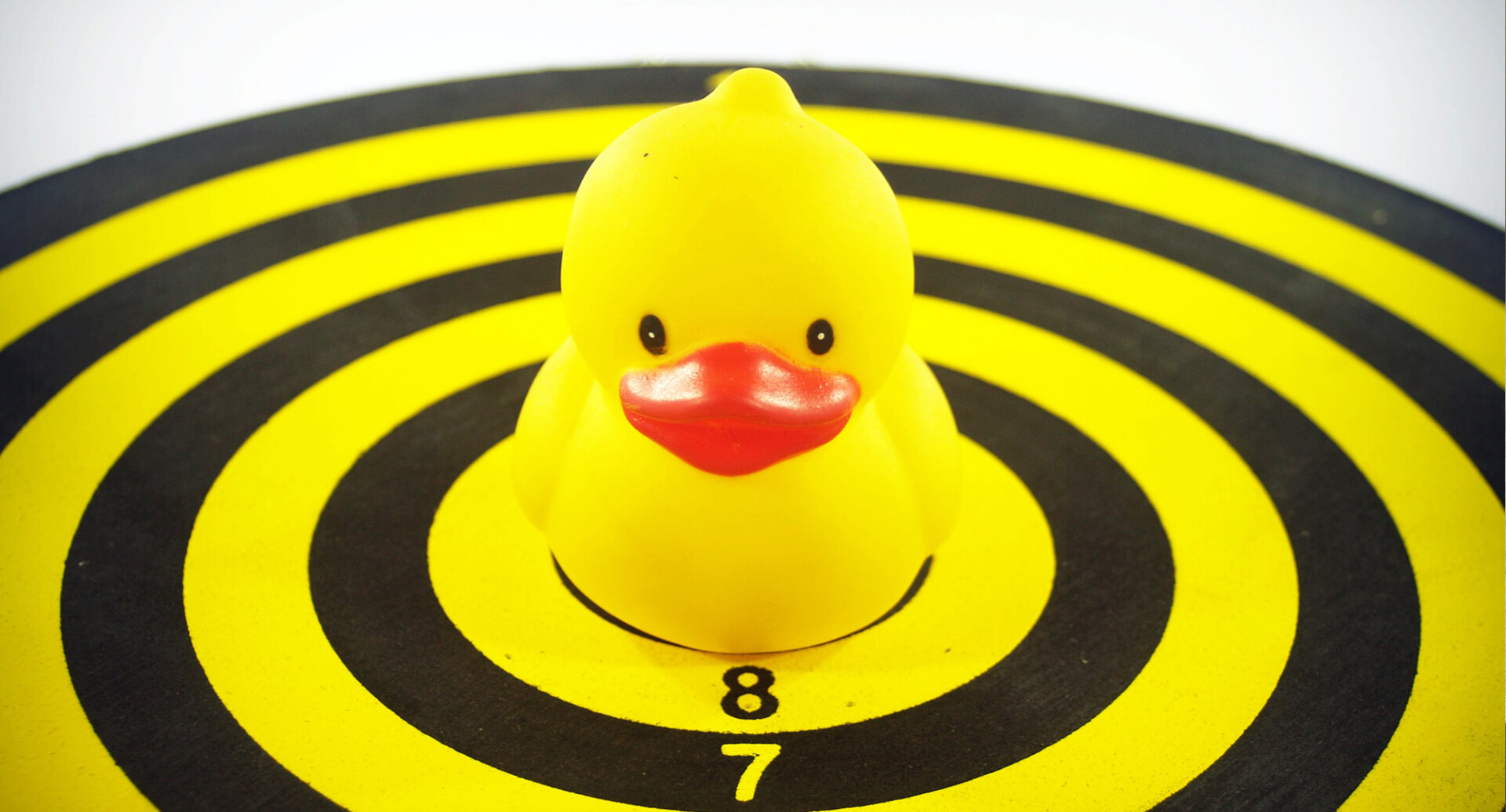 Website Security Is Your Website A Sitting Duck Ablespark